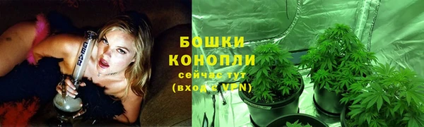 прущий лед Нея