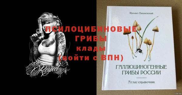 прущий лед Нея