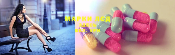 спиды Нефтекумск