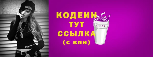 прущий лед Нея