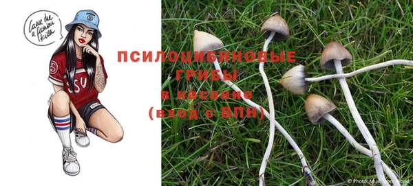 спиды Нефтекумск