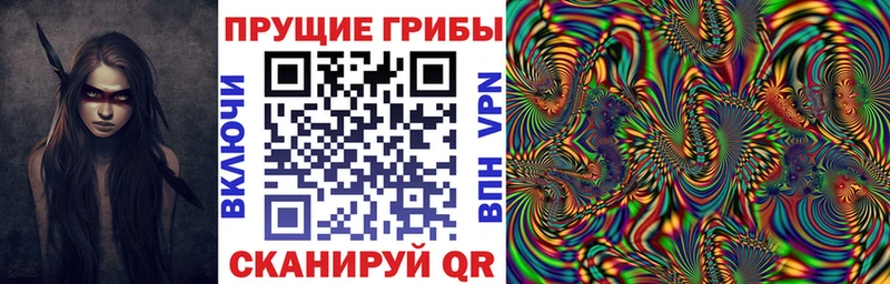 Купить закладки  Скопин  Галлюциногенные грибы мицелий 